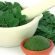 Oil from “miracle tree”: Incredible properties of Moringa Oil